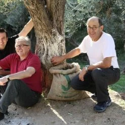 Jordan Olivenöl Jordan Oliven, Fruchtig Und Fein -Zassenhaus shop IMG 4412 klein l