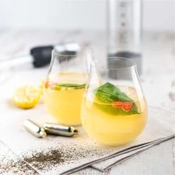 ISi Kohlensäure-Einwegkapseln, 10er Packung -Zassenhaus shop Infused Tea